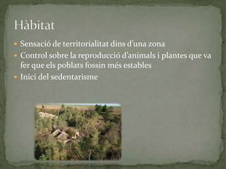 HàbitatSensació de territorialitat dins d’una zonaControl sobre la reproducció d’animals i plantes que va fer que els poblats fossin més establesInici del sedentarisme 