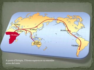 L’ Homo floresiensisVa eliminar les altres espècies d’Homo