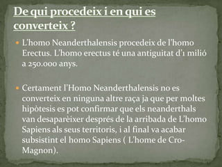 De qui procedeix i en qui es converteix ?,[object Object],L’homoNeanderthalensis procedeix de l’homo Erectus. L’homo erectus té una antiguitat d’1 milió a 250.000 anys. ,[object Object],Certament l’HomoNeanderthalensis no es converteix en ninguna altre raça ja que per moltes hipòtesis es pot confirmar que els neanderthals van desaparèixer després de la arribada de L’homo Sapiens als seus territoris, i al final va acabar subsistint el homo Sapiens ( L’home de Cro-Magnon).,[object Object]