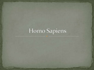 Homo Sapiens,[object Object]