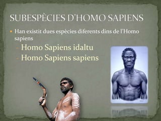 ORIGEN,[object Object],Va haver una primera ,[object Object],   evolució de,[object Object],   l’Homo Erectus a Europa,[object Object],   que va donar lloc a l’Homo ,[object Object],   Neandertalhensis. Però ,[object Object],   l’Homo ,[object Object],   Sapiens no prové del ,[object Object],neandertal, ,[object Object],   sinó d’una segona ,[object Object],   evolució de  l’Homo Erectus a l’Àfrica (a ,[object Object],   Etiòpia) fa aproximadament 160 000 anys.,[object Object]