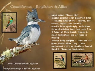 POWERPOINT_Birds_-_Coraciiformes_The_Kingfishers_&_Allies.pdf