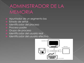 







Apuntador de un segmento bss
Estado de señal
Identificador del proceso
Proceso padre
Grupo de proceso
Identificador del usuario real
Identificador del usuario efectivo

 