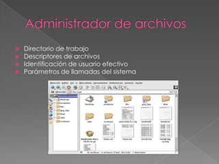 




Directorio de trabajo
Descriptores de archivos
Identificación de usuario efectivo
Parámetros de llamadas del sistema

 