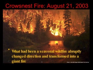 Crowsnest Fire: August 21, 2003 ,[object Object]