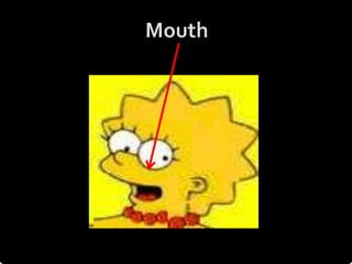 Mouth
