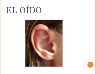 Ear In Spanish Powerpoint body parts_in_spanish | PPT
