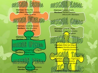 Chairman: Wilma Tho 
Members: Edgardo Crisostomo 
Arnel Eguarras 
Chairman: Arnold Malacoco 
Members: Sally Alcantara 
Eloisa Napiza 
Chairman: Fraelyn Zerafin 
Members: Darleen Luzaran 
SPES & 4P’s Members 
Chairman: Lorna M. Vitaliz 
Members: Gregoria Gonzales 
Marife Pandacan 
Chairman: Maribel Pamilacan 
Member: Judylin Resureccion 
Chairman: Luningning V. Coligado 
Members: Wilma A. Tho 
Julieta Pelaez 
Chairman: Edgardo Crisostomo 
Member: Babienell Ampo 
Vivian Sorino 
Chairman: Nilda San Miguel 
Members: Dorothy Alcantara 
Edgardo Crisostomo 
Chairman: Leonila A. Paglinawan 
Members: Boicce Lavarez 
Edylin Delos Reyes 
Subject Area Coordinators 
 