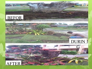 BEFOR 
E 
DURIN 
G 
AFTER 
 