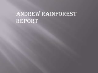 Andrew RAINFOREST
REPORT