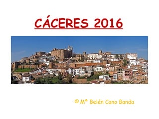 CÁCERES 2016 © Mª Belén Cano Banda 