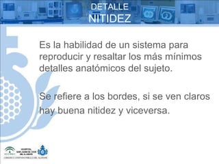 DETALLE NITIDEZ Es la habilidad de un sistema para reproducir y resaltar los más mínimos detalles anatómicos del sujeto. Se refiere a los bordes, si se ven claros hay buena nitidez y viceversa. 