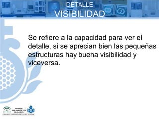 DETALLE VISIBILIDAD Se refiere a la capacidad para ver el detalle, si se aprecian bien las pequeñas estructuras hay buena visibilidad y viceversa. 