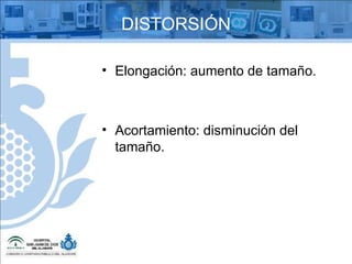 DISTORSIÓN Elongación: aumento de tamaño. Acortamiento: disminución del tamaño. 