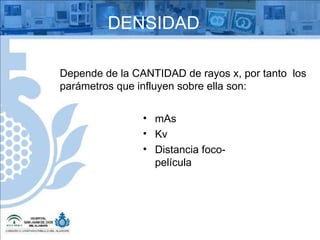Depende de la CANTIDAD de rayos x, por tanto  los parámetros que influyen sobre ella son: mAs Kv Distancia foco-película DENSIDAD 