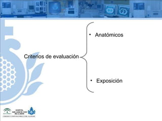 Criterios de evaluación Anatómicos Exposición 