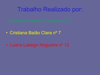 Trabalho Realizado por: Catarina Canudo Cardoso nº 5 Cristiana Baião Clara nº 7 Luana Labego Nogueira nº 12 