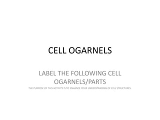 CELL OGARNELS

        LABEL THE FOLLOWING CELL
            OGARNELS/PARTS
THE PURPOSE OF THIS ACTIVITY IS TO ENHANCE YOUR UNDERSTANDING OF CELL STRUCTURES.
 
