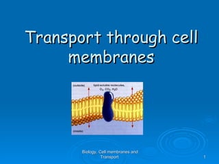 Transport through cell
     membranes




       Biology, Cell membranes and
                 Transport           1
 