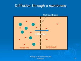 Diffusion through a membrane

                                Cell membrane




                     diffusion



  Inside cell                       Outside cell



                Biology, Cell membranes and
                          Transport                10
 