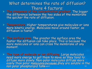 What determines the rate of diffusion?
               There 4 factors:
   The steepness of the concentration gradient. The bigger
    the difference between the two sides of the membrane
    the quicker the rate of diffusion.

   Temperature. Higher temperatures give molecules or ions
    more kinetic energy. Molecules move around faster, so
    diffusion is faster.

   The surface area. The greater the surface area the
    faster the diffusion can take place. This is because the
    more molecules or ions can cross the membrane at any
    moment.

   The type of molecule or ion diffusing. Large molecules
    need more energy to get them to move so they tend to
    diffuse more slowly. Non-polar molecules diffuse more
    easily than polar molecules because they are soluble in the
                       AS Biology, Cell membranes and
    non polar phospholipid tails. Transport                14
 