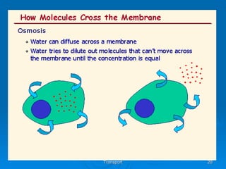 AS Biology, Cell membranes and
           Transport             20
 