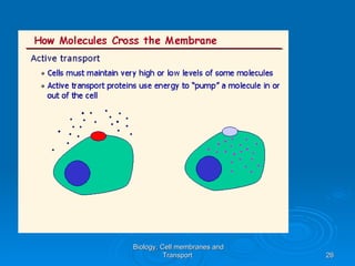 Biology, Cell membranes and
          Transport           26
 