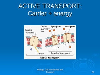 ACTIVE TRANSPORT:
  Carrier + energy




     Biology, Cell membranes and
               Transport           28
 