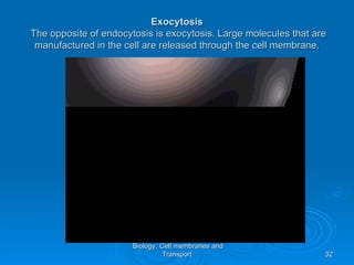 Exocytosis
The opposite of endocytosis is exocytosis. Large molecules that are
 manufactured in the cell are released through the cell membrane.




                       Biology, Cell membranes and
                                 Transport                        32
 