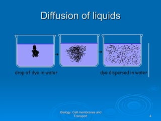 Diffusion of liquids




    Biology, Cell membranes and
              Transport           4
 