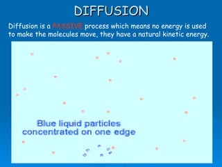DIFFUSION
Diffusion is a PASSIVE process which means no energy is used
to make the molecules move, they have a natural kinetic energy.




                      AS Biology, Cell membranes and
                                 Transport                    6
 