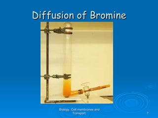 Diffusion of Bromine




     Biology, Cell membranes and
               Transport           7
 