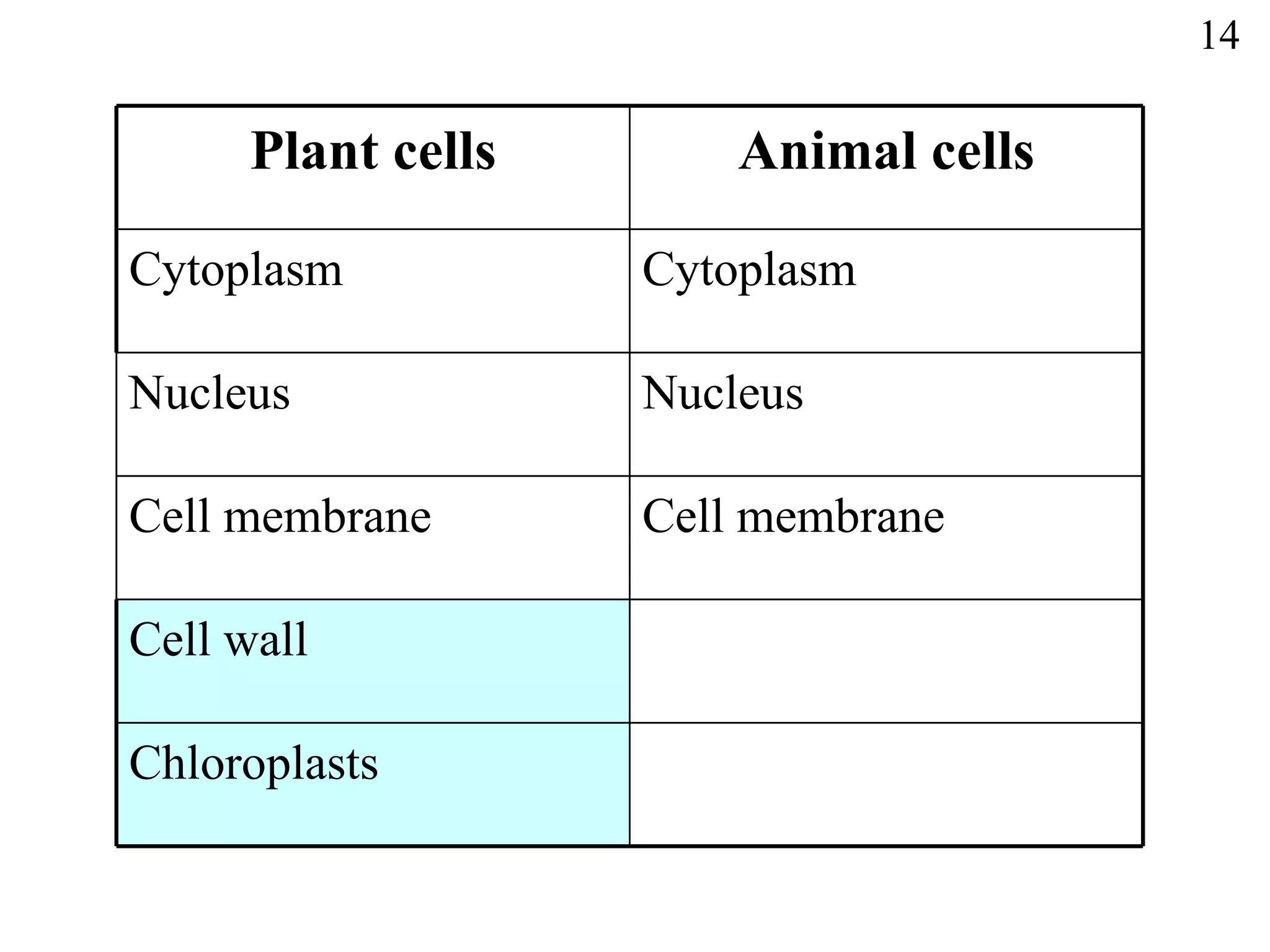 14 Plant cells Animal cells Cytoplasm Cytoplasm Nucleus Nucleus Cell membrane Cell membrane Cell wall Chloroplasts 