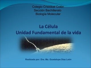Colegio Cristóbal Colón
       Sección Bachillerato
        Biología Molecular




Realizada por: Dra. Ma. Guadalupe Díaz León
 