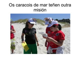 Os caracois de mar teñen outra
            misión
 