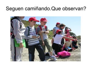 Seguen camiñando.Que observan?
 