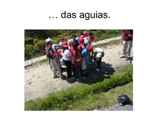 … das aguias.
 
