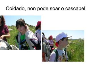 Coidado, non pode soar o cascabel
 