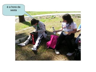 é a hora da
   sesta
 