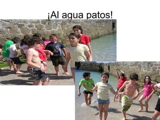 ¡Al agua patos!
 