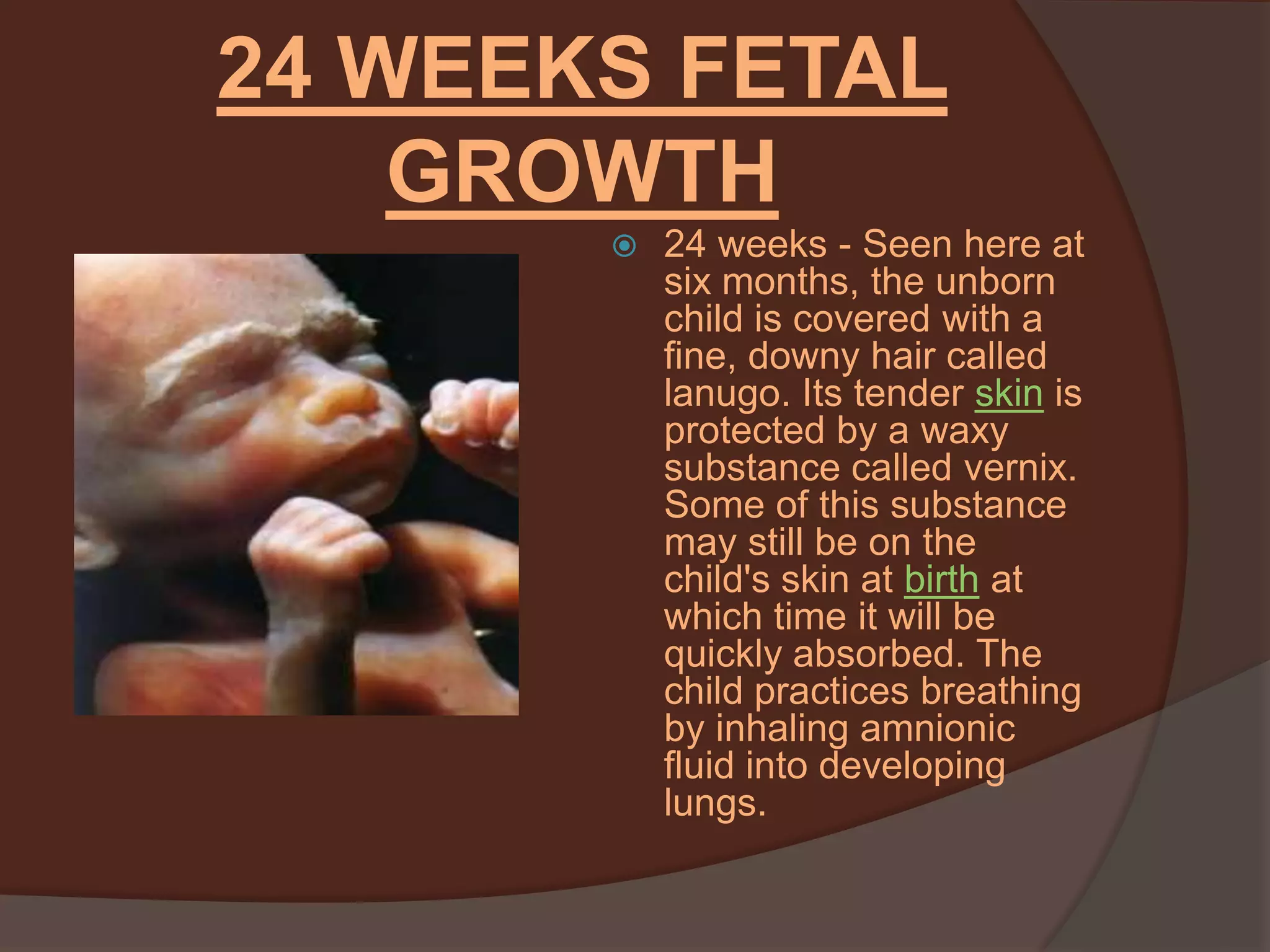 Fetal Development And The Three Stages Of Labor And Delivery By Sandra fetal-development-and-the-three-stages-of-labor-and-delivery-by-sandra