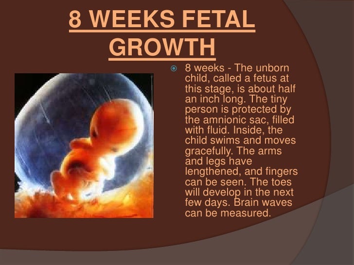6 Week Old Human Fetus Related Keywords  6 Week Old Human Fetus Long Tail Keywords KeywordsKing