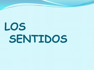 LOS
SENTIDOS
