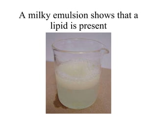 A milky emulsion shows that a lipid is present 