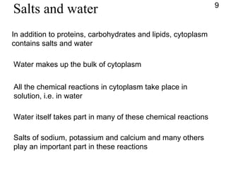 Salts and water In addition to proteins, carbohydrates and lipids, cytoplasm  contains salts and water Water makes up the bulk of cytoplasm All the chemical reactions in cytoplasm take place in  solution, i.e. in water Water itself takes part in many of these chemical reactions Salts of sodium, potassium and calcium and many others play an important part in these reactions 9 