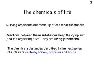 The chemicals of life All living organisms are made up of chemical substances Reactions between these substances keep the cytoplasm (and the organism) alive. They are  living processes . The chemical substances described in the next series of slides are  carbohydrates ,  proteins  and  lipids . 2 