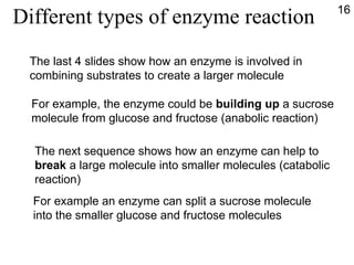 Different types of enzyme reaction The last 4 slides show how an enzyme is involved in  combining substrates to create a larger molecule For example, the enzyme could be  building up  a sucrose molecule from glucose and fructose (anabolic reaction) The next sequence shows how an enzyme can help to  break  a large molecule into smaller molecules (catabolic reaction) For example an enzyme can split a sucrose molecule into the smaller glucose and fructose molecules 16 