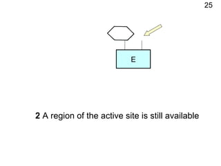 2  A region of the active site is still available 25 E 