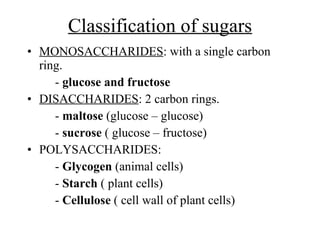 Classification of sugars MONOSACCHARIDES :  with a single carbon ring. -  glucose and fructose DISACCHARIDES : 2 carbon rings. -  maltose  (glucose – glucose) -  sucrose  ( glucose – fructose) POLYSACCHARIDES: -  Glycogen  (animal cells) -  Starch  ( plant cells) -  Cellulose  ( cell wall of plant cells) 