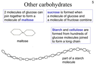 Other carbohydrates 2 molecules of glucose can join together to form a  molecule of  maltose maltose sucrose  is formed when a molecule of glucose and a molecule of fructose combine Starch  and  cellulose  are  formed from hundreds of glucose molecules joined to form a long chain part of a starch  molecule 5 